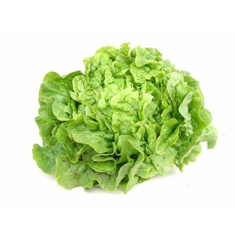 salade_tete