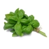 basilic_bq_30g