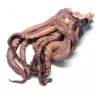 calamar_tentacules