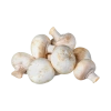 champignon_blanc