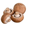 champignon_brun