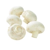 champignon_gros_a_farcir