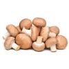 champignons_bruns_pied_coupe