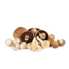 champignons_sous_cate