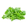 cresson_vert