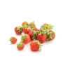 fraise_espagne_500g