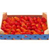 fraise_plateau_litee