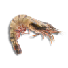 gambas_sauvage_1203554795