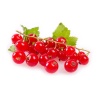 groseille_rouge