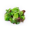 mesclun