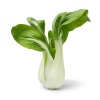 mini_pak_choi