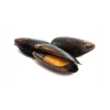 moule_despagne_3kg