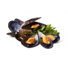 moule_hollandaise