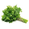 persil_plat