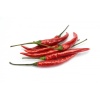 piment_oiseau