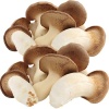 pleurote