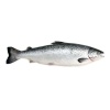 saumon_entier_3_a_4