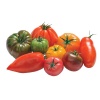 tomate_saveur_dantan