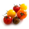 tomates_sous_cate_467438888