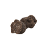 truffe_noire_dhiver